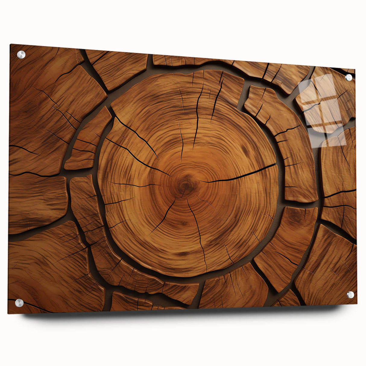 Close-up view of tree bark in muted brown and green tones on acrylic glass, suitable for bedroom or dining room wall art.