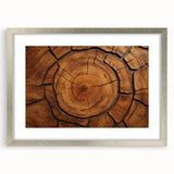 Textured art print depicting close-up abstract tree designs in earth tones, framed in silver, suitable for bedroom art.