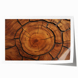 Close-up of tree bark in muted brown tones on a large rolled canvas, suitable for dining room or bathroom wall art.