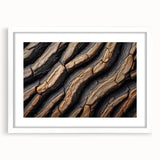 Abstract art print of close-up tree branches in black and white, framed with a white mat.