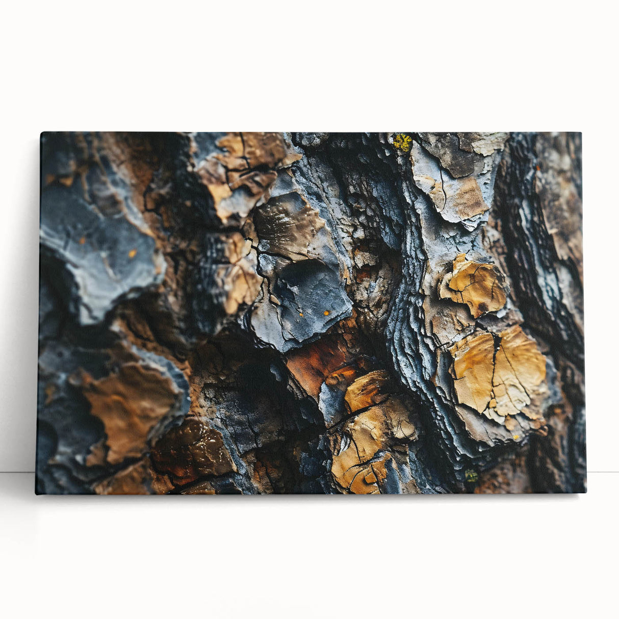 Black and white photo of a dense forest on stretched canvas, suitable as large art for bedroom or kitchen wall art.