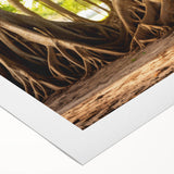 Art deco poster featuring a close-up of tree branches on a rolled canvas, in muted earth tones.