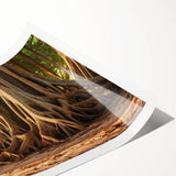 Extra large wall art featuring a line art design of trees in black and white, printed on rolled canvas.