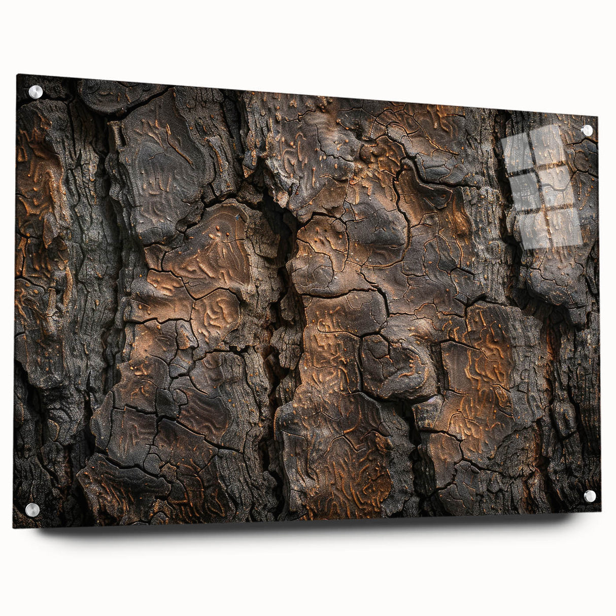 Acrylic print of close-up tree designs in muted green and brown, suitable for bedroom or dining room decor.