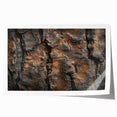 Close-up image of tree bark on a rolled canvas, featuring intricate textures in earthy brown tones.