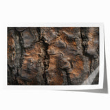 Close-up image of tree bark on a rolled canvas, featuring intricate textures in earthy brown tones.