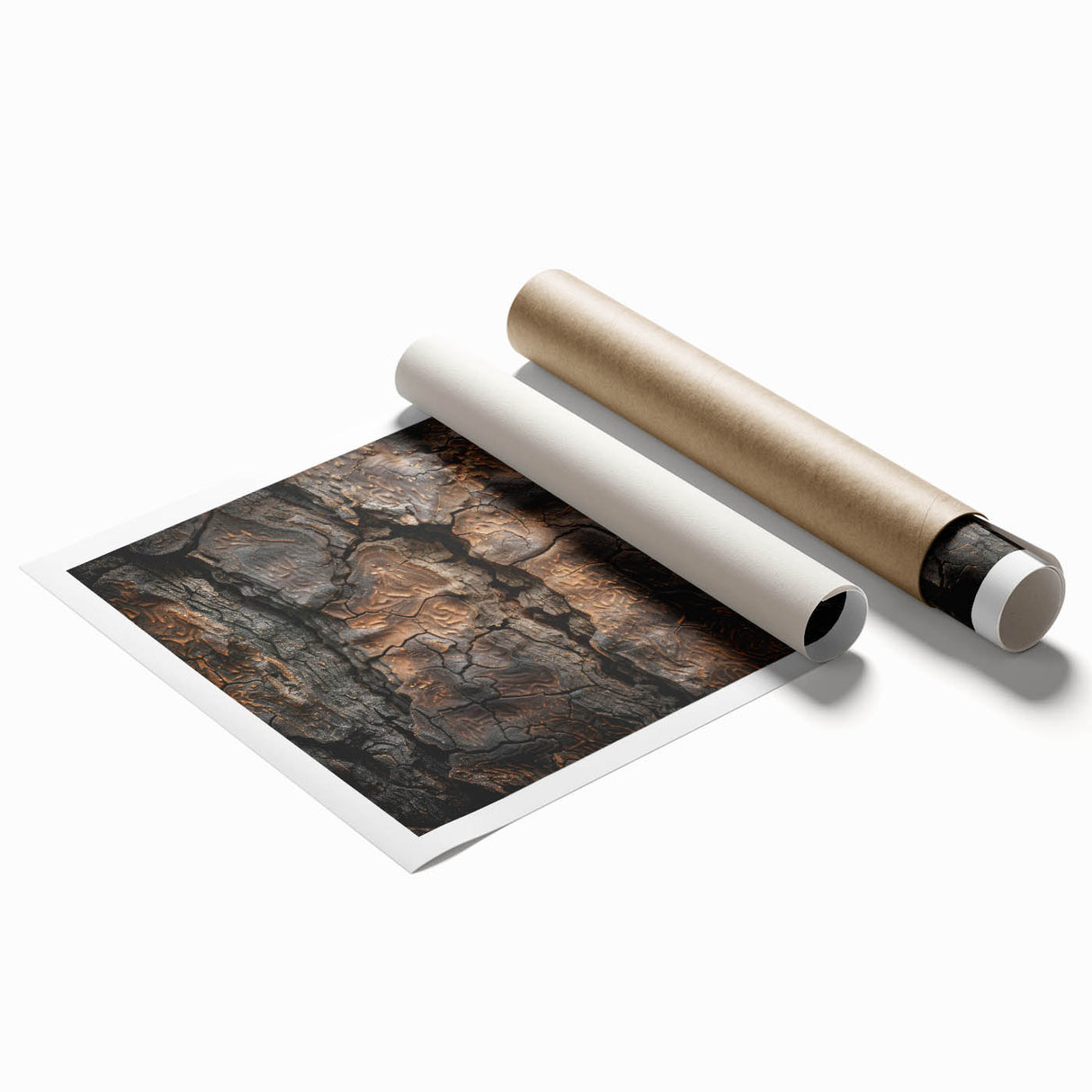 Extra large rolled print of close-up tree branches in soft gray tones, ideal for classy bathroom wall art.