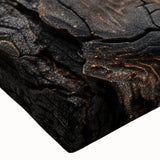 Black and white close-up of tree bark on stretched canvas, suitable for bedroom wall art with a minimalist style.