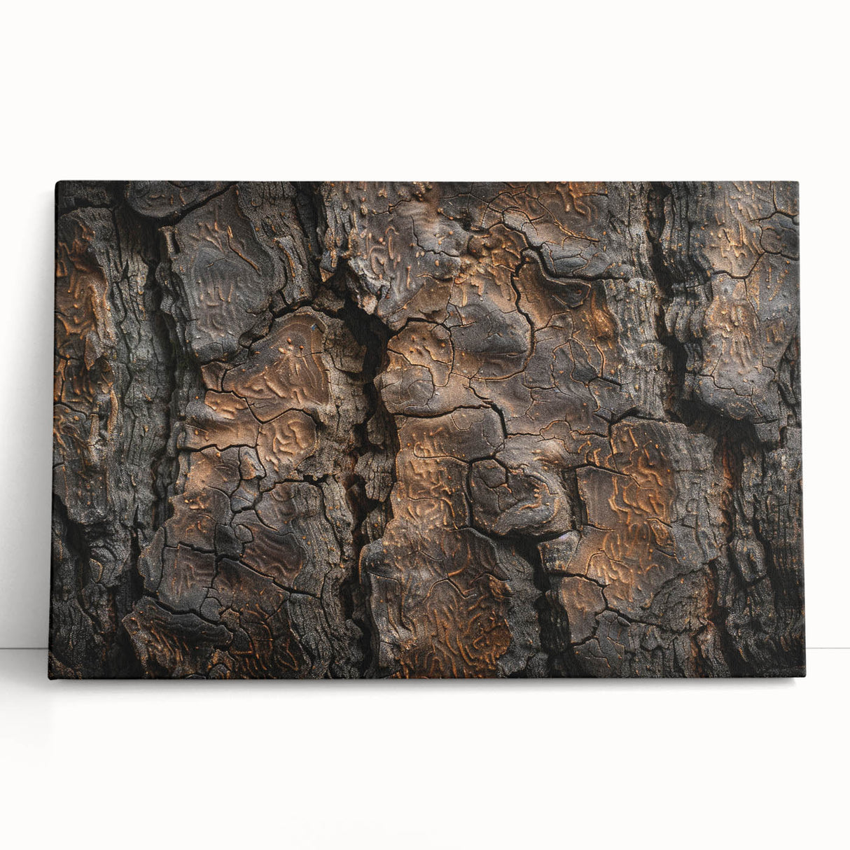 Close-up black and white photo of tree bark on stretched canvas, ideal for kitchen wall art or bedroom ambiance.