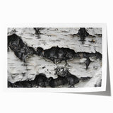 Close-up of tree bark in natural earth tones on a rolled canvas.