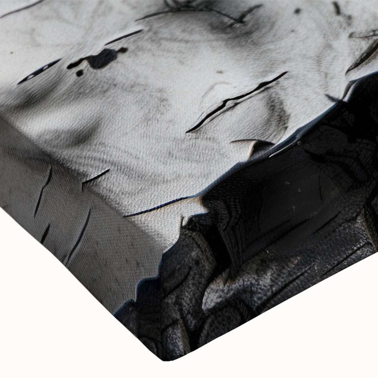 Close-up black and white photo of tree bark on stretched canvas, ideal for bedroom wall art.