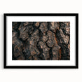 Extra large abstract art print featuring colorful, textured close-ups of trees on a black framed canvas.