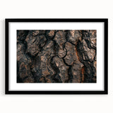 Extra large abstract art print featuring colorful, textured close-ups of trees on a black framed canvas.
