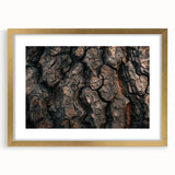 Extra large abstract art print depicting close-up tree textures in muted earth tones on a framed canvas.