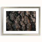 Textured art print of abstract tree close-ups in silver frame, featuring earthy tones, suitable for bedroom decor.