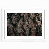 Abstract art print featuring close-up tree designs in muted green and brown, framed in white, ideal for dining room decor.