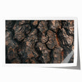 Close-up of tree bark in earth tones on a rolled canvas, suitable as art wall dining room or large bathroom decor.