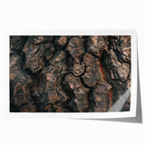 Close-up of tree bark in earth tones on a rolled canvas, suitable as art wall dining room or large bathroom decor.