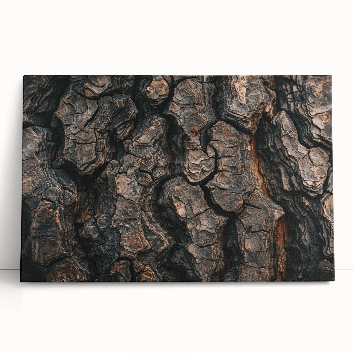 Black and white close-up photo of tree bark on a large stretched canvas, ideal for kitchen wall art or bedroom ambiance.