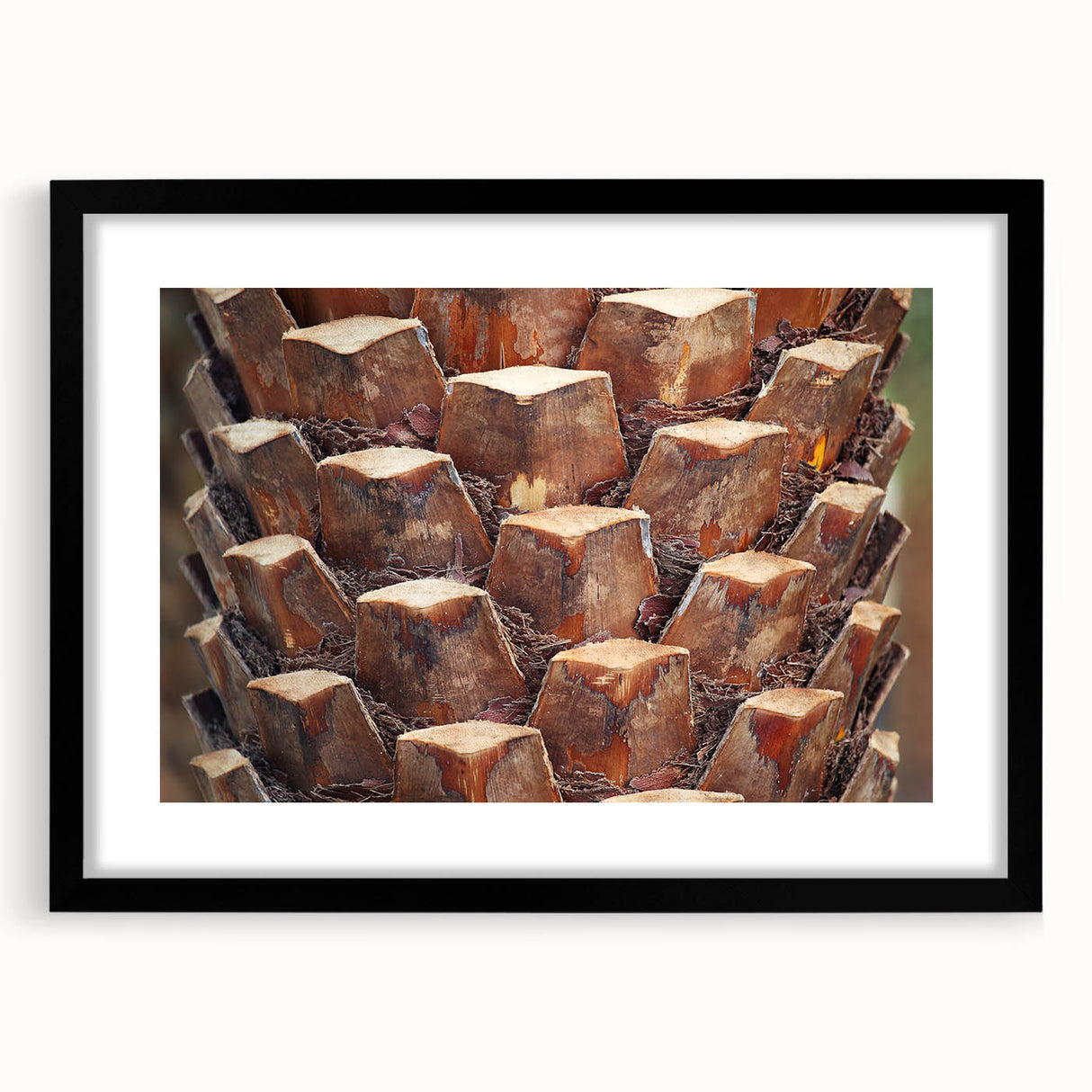Extra large abstract art print of colorful, textured trees on a black framed canvas, ideal for living room decor.