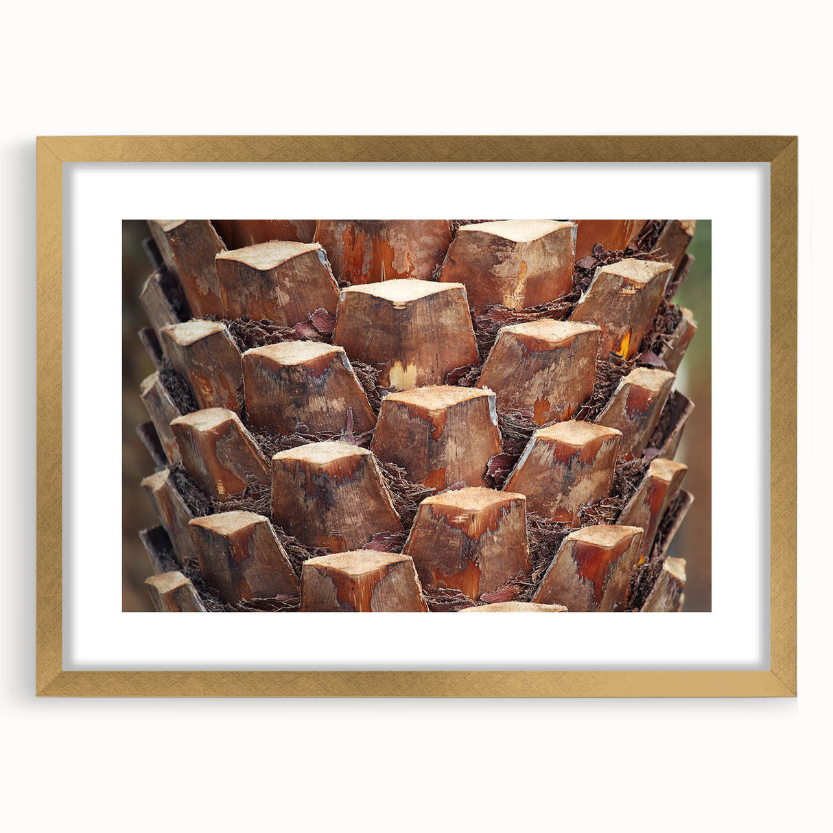 Extra large abstract art print featuring textured close-ups of trees in gold frame, ideal for living room decor.