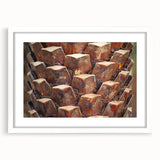 Abstract art print of close-up tree designs in monochrome, framed in white, suitable for bedroom or dining room decor.