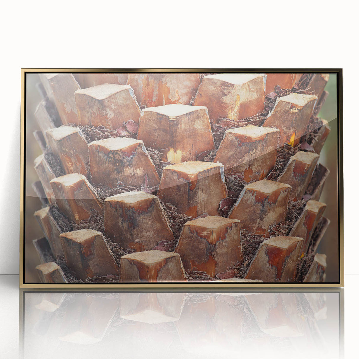 Large art print of close-up tree design in gold frame, featuring mid-century modernist style.