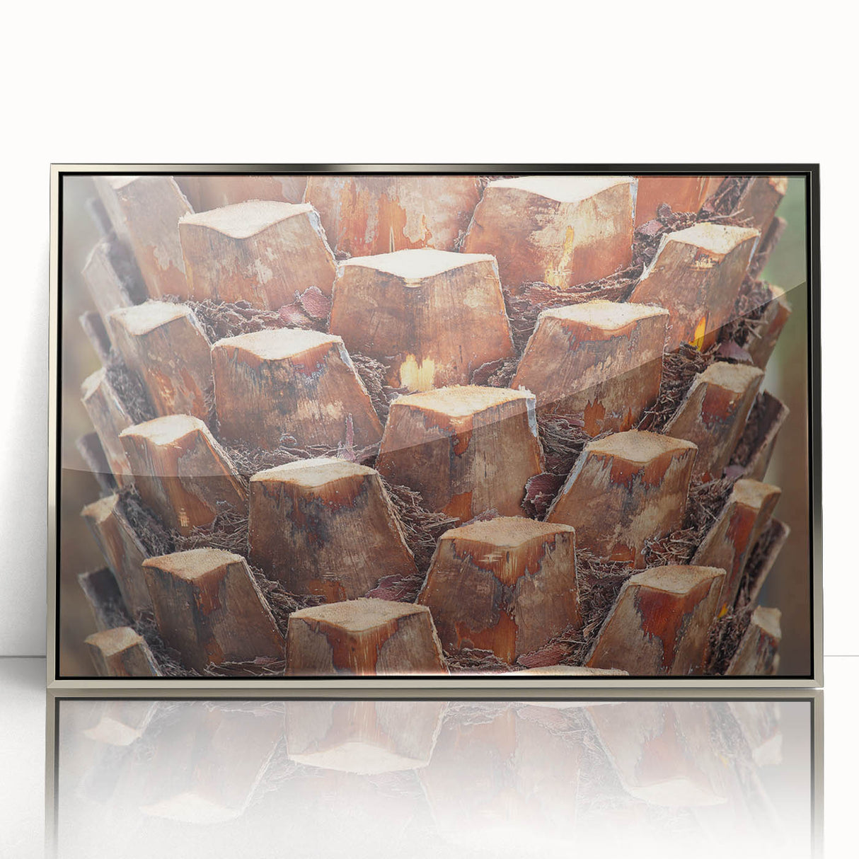 Mid-century modernist art of a close-up tree design in muted green and brown tones, acrylic print in silver frame.