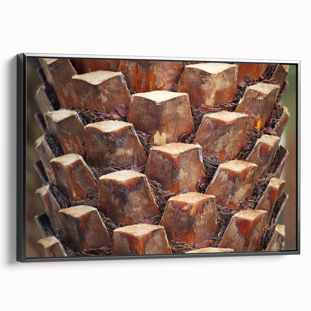 Black and white framed canvas featuring a close-up of tree branches, ideal for bedroom wall decor.