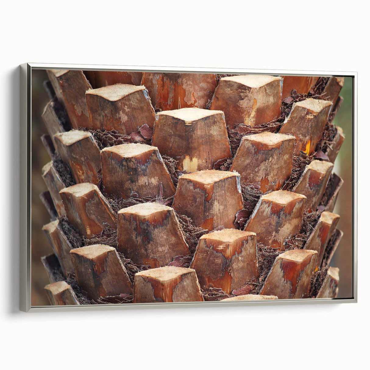 Framed canvas featuring a close-up of trees in vibrant green and brown tones.