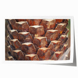 Close-up of tree bark in muted earth tones on a large rolled canvas, ideal for dining room or bathroom wall art.