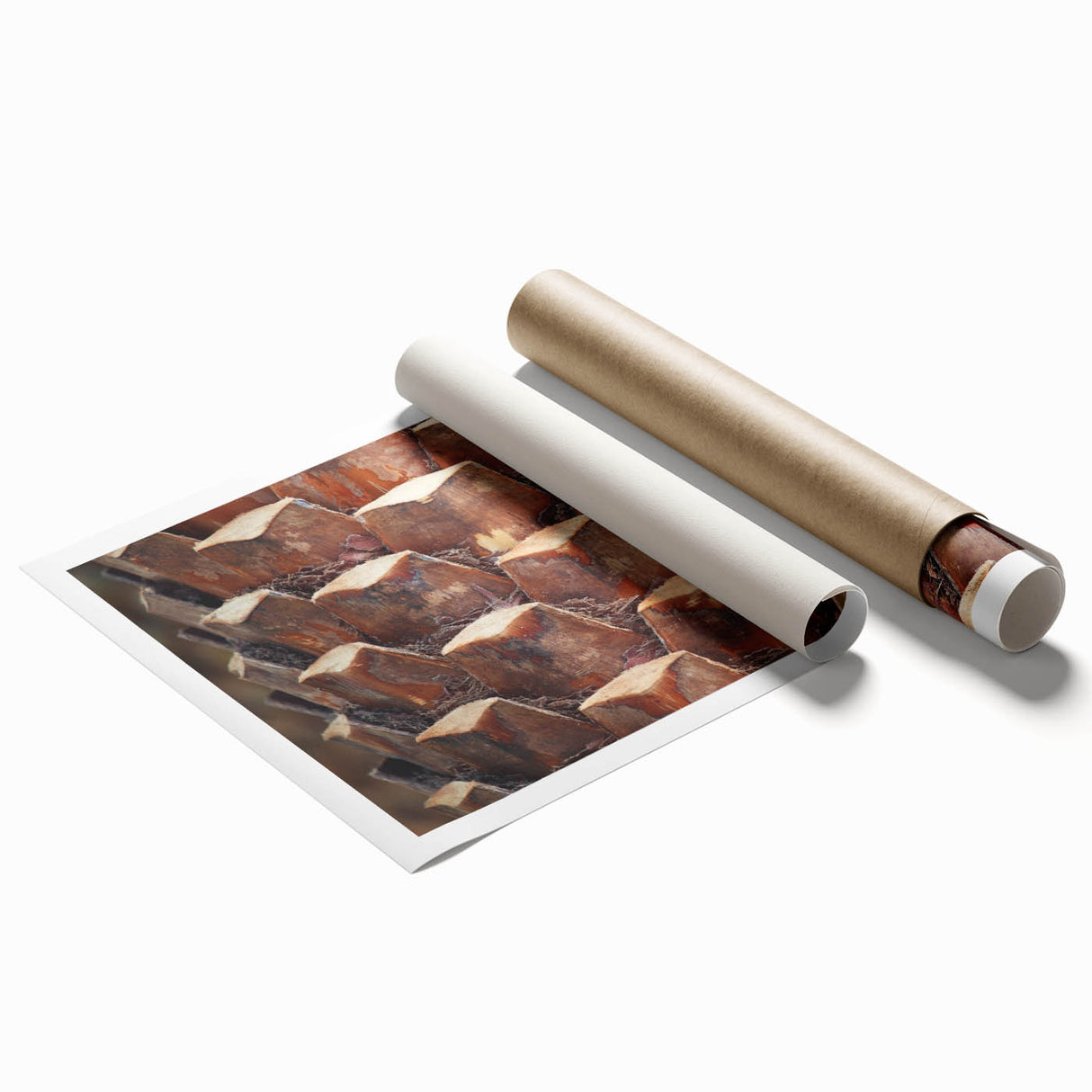 Extra large rolled print of close-up tree branches in soft green and brown tones.