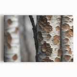 Black and white photo of a dense forest on stretched canvas, ideal for kitchen wall art.