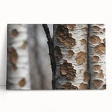 Black and white photo of dense trees on stretched canvas, ideal for kitchen wall art or bedroom ambiance.