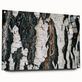 Close-up of tree bark on acrylic glass, featuring textured gray and brown tones, suitable for bedroom or dining room decor.