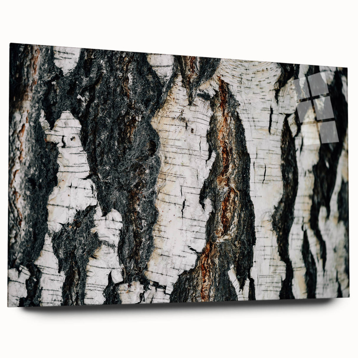 Large abstract wall art depicting close-up tree designs in muted earth tones on acrylic glass.