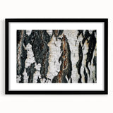 Extra large abstract art print featuring textured, colorful tree close-ups in a black frame, ideal for living room decor.