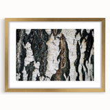 Extra large abstract art print of close-up tree textures in gold frame, suitable for living room decor.