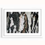 Abstract art print of close-up tree designs in muted green and brown, framed in white.