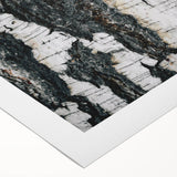 Art deco poster featuring a close-up of tree bark in muted brown and gray tones on rolled canvas.