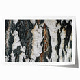 Close-up of tree bark in natural colors on a large rolled canvas, suitable for art wall dining room or bathroom.