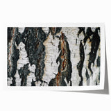 Close-up of tree bark in natural colors on a large rolled canvas, suitable for art wall dining room or bathroom.