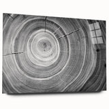 Large abstract wall art of close-up tree branches in monochrome shades on acrylic glass.