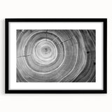 Extra large abstract art print featuring textured, colorful tree close-ups in a black frame, ideal for living room decor.