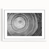 Abstract art print of close-up trees in muted green and brown tones on a framed white canvas.