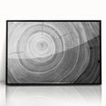 Large abstract wall art featuring close-up tree designs in black and white tones on framed acrylic.
