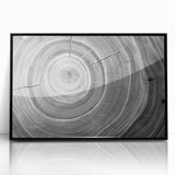 Large abstract wall art featuring close-up tree designs in black and white tones on framed acrylic.
