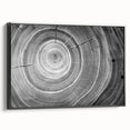 Black and white framed canvas depicting a close-up of tree textures, ideal for bedroom wall art with a vintage poster feel.
