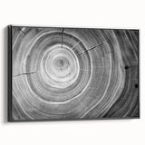 Black and white framed canvas depicting a close-up of tree textures, ideal for bedroom wall art with a vintage poster feel.