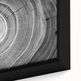 Close-up of a black textured tree bark, extra large framed canvas with colorful art accents, ideal for living room decor.